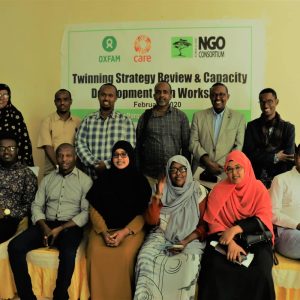 1-23062020101852 Figure 3 Twinning strategy review & SWOT analysis workshop