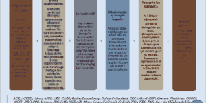 risk-management-standards-picture-somali-version_400x200